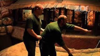 Zookeepers wrangling a nile crocodile in dublin zoo