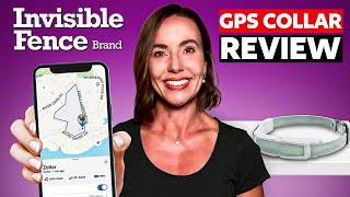 Invisible Fence GPS Collar Review: The Truth Revealed 2024