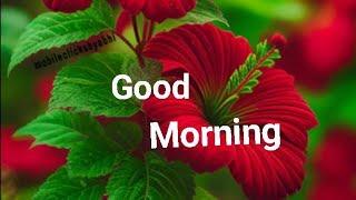 Ep-34//Good morningwishes with Beautiful images//Good morning video status. @smilingthulasi3686