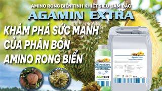 Khám khá sức mạnh phân bón amino rong biển AGAMIN EXTRA