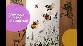 Как нарисовать акварелью Пчёл и Лаванду. Для начинающих