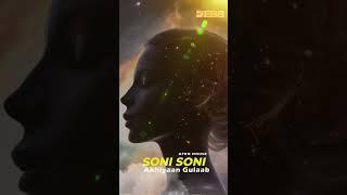 Soni Soni X Akhiyaan Gulaab Mashup | Debb | Afro House | #mitraz #darshanraval #debbofficial