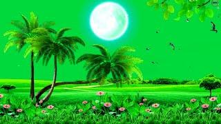 Moon background video green screen | Nature green screen effects | Green screen animation #nature