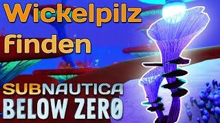 Subnautica Below Zero - Wickelpilzstücke / Wickelpilz finden [Guide / Deutsch]