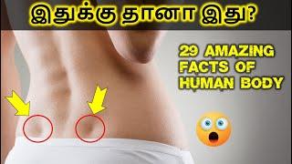 Human body facts 29 interesting science facts in Tamil | Tech Feed