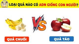 15+7 Câu Đố Thú Vị Vừa Học Vừa Chơi Dành Cho Những Nhà Khám Phá Khoa Học Trong Tương Lai