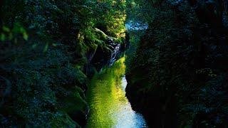 Gorge [Unexplored river/natural environmental sounds/healing/ASMR]