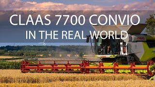 Claas 7700 Combine with 12 metre Convio Flex header - Cutting Wheat - In Cab chat  exciting footage.