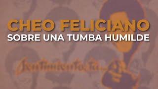 Cheo Feliciano - Sobre una Tumba Humilde (Audio Oficial)