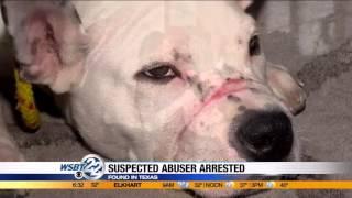 Arrest made in Michigan City dog abuse case