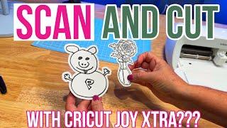 Can You Really Scan and Cut with a Cricut Joy Xtra?