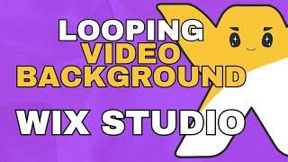 How to Make a Looping Video Background using Wix Studio - 2023 Wix Tutorial