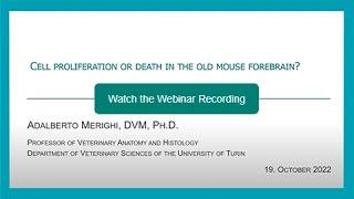 Webinar: Cell proliferation or death in the old mouse forebrain?