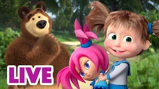  LIVE STREAM  Masha and the Bear  Fun unplugged 