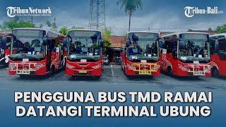 Pengguna Bus Trans Metro Ramai Datangi Terminal Ubung, Tak Tahu Bus Sudah Tidak Beroperasi