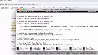 Setting Up Flutter Framework on a Mac in 2mins  Permanently adding Path to MAC