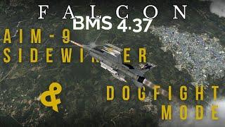 Falcon BMS 4.37 Tutorial - AIM-9 Sidewinder and Dogfight mode