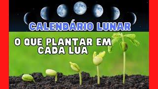 O QUE PLANTAR EM CADA  LUA - CALENDÁRIO LUNAR