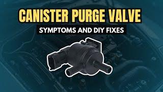 I Fixed My Car's Canister Purge Valve MYSELF and You Can Too!