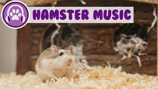 Music for Hamsters - Relaxing Sleep Music for Anxious Rodents