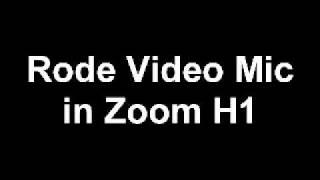 Rode Video Mic vs Zoom H1 vs T3i