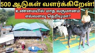 ஆடு வளர்ப்பில் இதுதான் நிதர்சனம்! | Actual profit status of Goat farms!