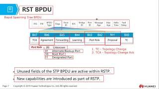 Topic 15  Rapid Spanning Tree Protocol