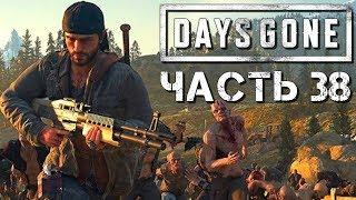 Прохождение DAYS GONE (Жизнь После) #38  Орда на Ферме