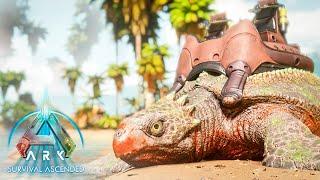 Архелон приручение и способности | Archelon | ARK: Survival Ascended