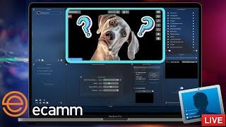 Ecamm Live Tutorial - Best Livestream Platform for Mac 2021