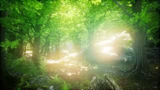 Garden Of Eden, Utopia, Enchanted Forest   -  Motion Graphics Background Video