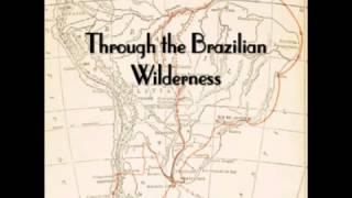 Through the Brazilian Wilderness (FULL Audiobook)