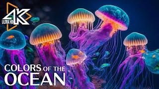 Ocean 4K - очаровательные моменты с медузой и рыбой в океане - релаксация видео № 2