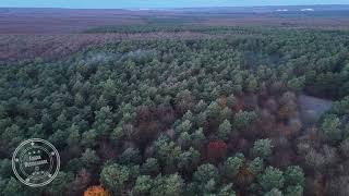 Survol de la forêt de Brotonne en automne | Drone 4K | FRANCE