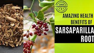 Unlocking the Secrets of Sarsaparilla Root: A Journey into Its Health Benefits