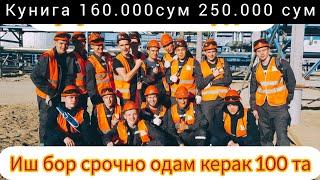 Узбекистонда иш бор кунига 250.000 сум #иш_бор#тошкентда #йокса_боригла#бировни_мажбурлаш #йук