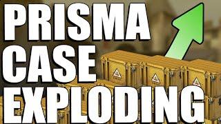 Why You Should Invest In Prisma Cases RIGHT NOW! (BIG PROFIT!)