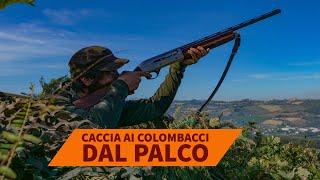 Colombacci 2020: caccia dal palco con Baschieri & Pellagri Balistite calibro 20