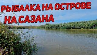 Рыбалка на сазана в Маково  Астраханской области в [4K]