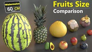 Different Fruits Size Comparison | 3D