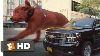 Clifford the Big Red Dog (2021) - Clifford's Car Chase Scene (9/10) | Movieclips