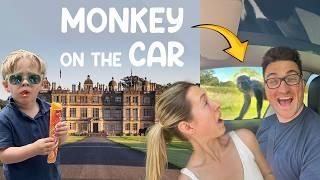 LONGLEAT SAFARI PARK // MONKEY ON THE CAR // BEST FAMILY DAY OUT //