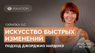 Искусство быстрых изменений. Подход Джорджио Нардонэ