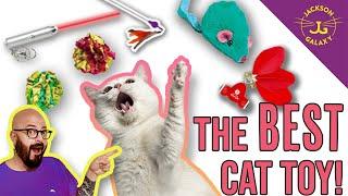 What is the best cat toy in the world? Trust me, I know!