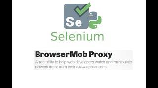 Selenium & Browsermob Proxy