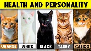 What Your Cat's Color Says About Their Health and Personality 