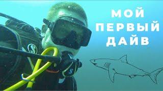 OPEN WATER: первый сертификат дайвера