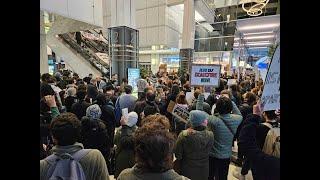 History again: the largest demonstration of midwest Jews in solidarity with Palestinians... ever.