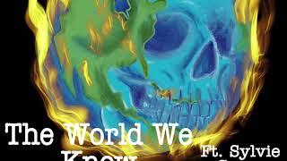 T.Z. DUHH - The World We Know (feat. Sylvie Grace)  [audio]