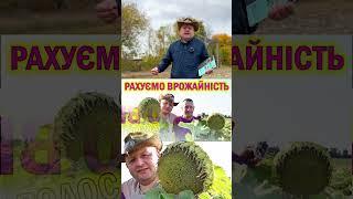 ЧОМУ СОНЯШНИК ЩЕ НЕ ЗІБРАЛИ -БО ПРО ФЛЕШ ЩЕ НЕ ЧУЛИ, а ціна є і росте